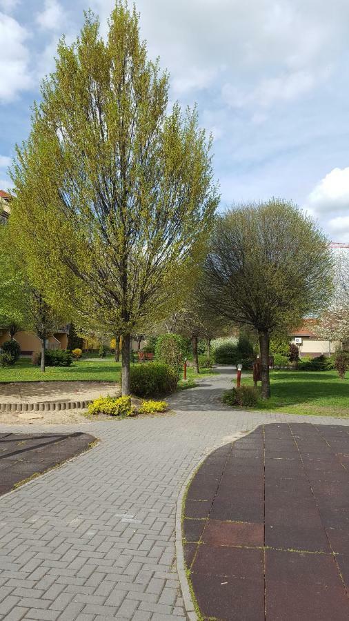 Liget Apartment, Terrace, Free Parking, Ac Budapeste Exterior foto